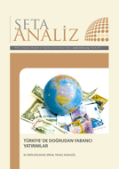 Analiz: Türkiye’de Doğrudan Yabancı Yatırımlar