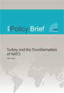 Turkey and the Transformation of NATO