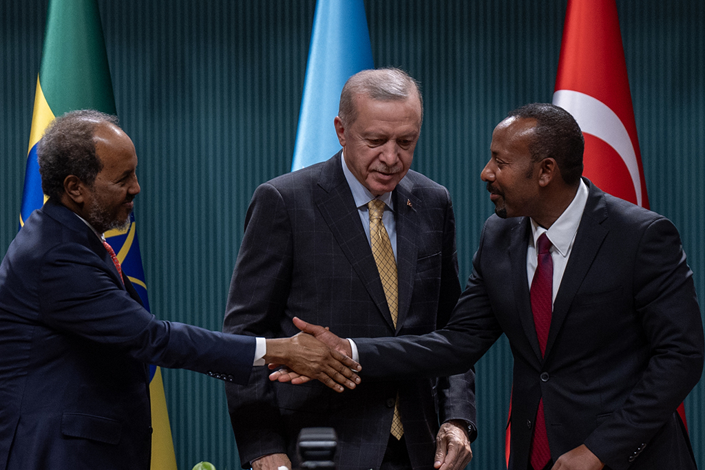 Türkiye s Peace Diplomacy in the Horn of Africa