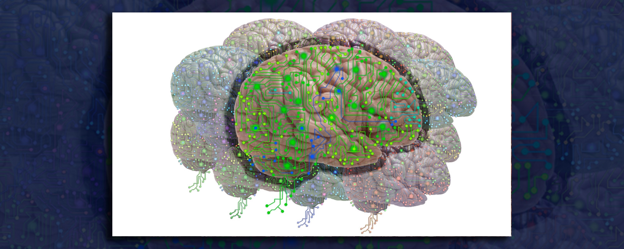 The Future of AI Policies in the US And Implications